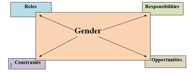 Gender sensitization