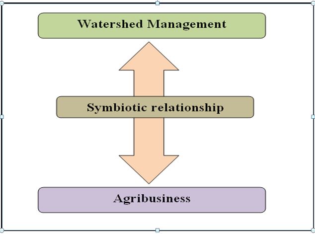 Watershed Management and Agribusiness -A Symbiotic Growth