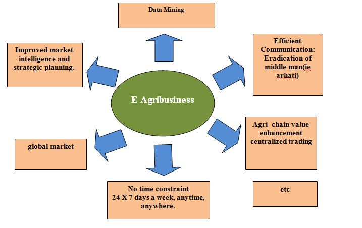 Some advantages of E Agribusiness