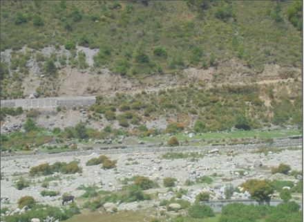 Land degraded due to Soil erosion resulting in barren land in watershed area