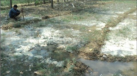 Earthen irrigation channels in agriculture field