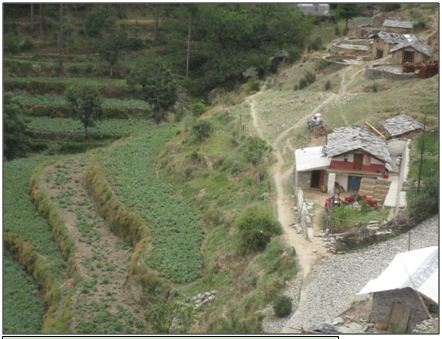 A farmer having organic potato cultivation in a village watershed in Hills 