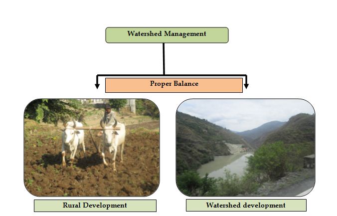 A Proper balance between Rural development and Watershed development is must in Watershed Management 