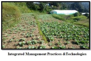 Integrated Management Practices and Technologies