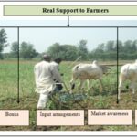 MSP real support to farmers