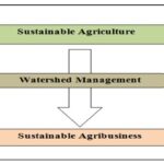 sustainable_agriculture