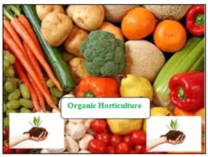 organic horticulture