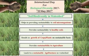 International Day For Biological Diversity