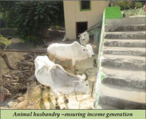 Animal husbandry –ensuring income generation in hills