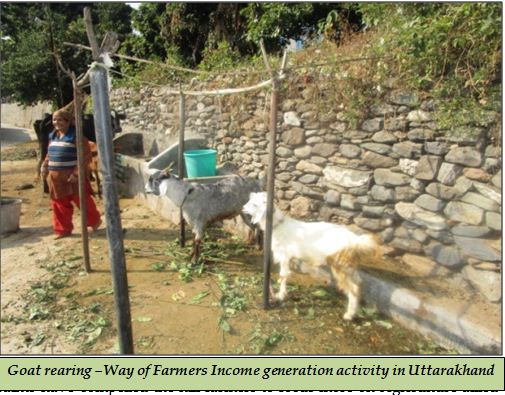 Goat rearing –Way of Farmers Income generation activity in Uttarakhand