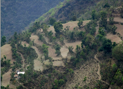 Bird eye view of Terrace farming in hilly tracts