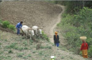 Conventional tillage in watershed