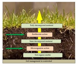 soil management in watershed