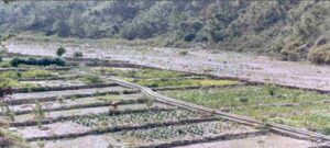 Irrigation to the cultivated crops through irrigation channels