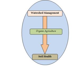 Soil Health