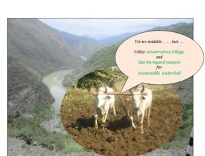 Sustainable Watershed Interventions Watershedpedia