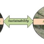 Interdependency for Sustainability in Watershed Management