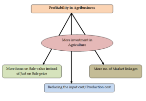 Agribusiness – A potential tool for doubling farmer’s income