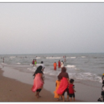 visitors_tamilnadu beach
