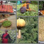 Agribusiness -A better option for livelihood enhancement
