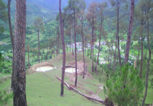 Percolation tank